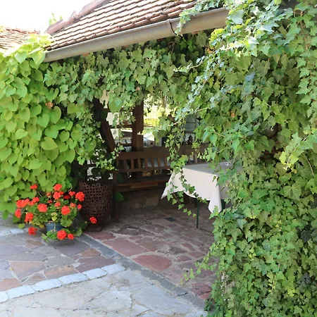 Schmitt Sommerach
