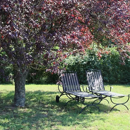 Schmitt Appartement Sommerach